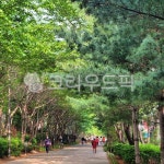 garden, 정원, outdoors, 옥외, 공원, 사진,이미지,일러스트,캘리그라피 - HARIMONG작가 크라우드픽 - 저작권 걱정 없는 상업용 이미지