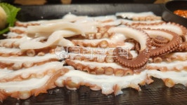 문어, 음식, 자연산, 해산물, 맛, 사진,이미지,일러스트,캘리그라피 - 1004G작가 크라우드픽 - 저작권 걱정 없는 상업용 이미지