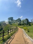 path, 길, nature, 산길, 자연, 사진,이미지,일러스트,캘리그라피 - sksrudcjstk작가 크라우드픽 - 저작권 걱정 없는 상업용 이미지