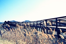 바라지다리, 다리, 생태공원, 풍경, 배경, 사진,이미지,일러스트,캘리그라피 - 함께사는세상작가 크라우드픽 - 저작권 걱정 없는 상업용 이미지