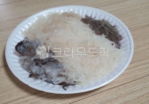 오징어회, 오징어, 회, 바다회, 회오징어, 사진,이미지,일러스트,캘리그라피 - poreste작가 크라우드픽 - 저작권 걱정 없는 상업용 이미지