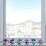 하늘, 인테리어, 이끼, 꽃, 무지개, 사진,이미지,일러스트,캘리그라피 - Njun_seop작가 크라우드픽 - 저작권 걱정 없는 상업용 이미지