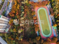 공원, park, 송현근린공원, 가을공원, 가을단풍, 사진,이미지,일러스트,캘리그라피 - shinabro9작가 크라우드픽 - 저작권 걱정 없는 상업용... 