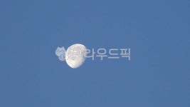 nature, 자연, outdoors, 옥외, moon, 사진,이미지,일러스트,캘리그라피 - studio H작가 크라우드픽 - 저작권 걱정 없는 상업용 이미지