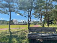 park, 공원, outdoors, 옥외, nature, 사진,이미지,일러스트,캘리그라피 - 하늘날자작가 크라우드픽 - 저작권 걱정 없는 상업용 이미지