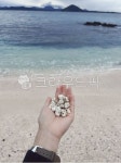 바다, 산호, 모래, 제주, 백사장, 사진,이미지,일러스트,캘리그라피 - Lemonllatte작가 크라우드픽 - 저작권 걱정 없는 상업용 이미지