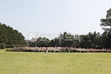 공원, 꽃, 화단, 꽃잎, 화원, 사진,이미지,일러스트,캘리그라피 - 함께사는세상작가 크라우드픽 - 저작권 걱정 없는 상업용 이미지