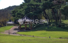 자연, nature, 옥외, outdoors, 정자, 사진,이미지,일러스트,캘리그라피 - studio H작가 크라우드픽 - 저작권 걱정 없는 상업용 이미지