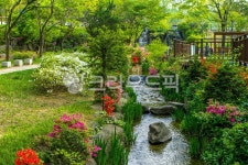 서울, 장충동, 공원, 장충단공원, 산책, 사진,이미지,일러스트,캘리그라피 - imlover작가 크라우드픽 - 저작권 걱정 없는 상업용 이미지