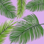 트로피컬, 트로피컬일러스트, 야자수, palmtree, 열대식물, 사진,이미지,일러스트,캘리그라피 - JHSARAH작가 크라우드픽 - 저작권 걱정 없는... 