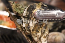 굴구이, 구이, 해산물, 해물, 굴, 사진,이미지,일러스트,캘리그라피 - Nhide_pose작가 크라우드픽 - 저작권 걱정 없는 상업용 이미지