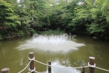 서울대, 서울대학교, 캠퍼스, 호수, 자하연, 사진,이미지,일러스트,캘리그라피 - 양기리작가 크라우드픽 - 저작권 걱정 없는 상업용 이미지