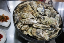 굴, 석화, 굴찜, 석화찜, 해물, 사진,이미지,일러스트,캘리그라피 - 당근씨작가 크라우드픽 - 저작권 걱정 없는 상업용 이미지