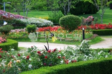 순천만국가정원1호, 테마공원, 자연생태공원, 자연, 옥외, 사진,이미지,일러스트,캘리그라피 - pandora4077작가 크라우드픽 - 저작권 걱정... 