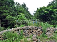 김녕농로, 돌담, 제주, 올레19코스, 올레길, 사진,이미지,일러스트,캘리그라피 - Deep bLUE작가 크라우드픽 - 저작권 걱정 없는 상업용 이미지