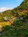문의청남대휴게소, 가을, 울긋불긋, 가을나무, 가을산, 사진,이미지,일러스트,캘리그라피 - shr0608작가 크라우드픽 - 저작권 걱정 없는 상업용... 