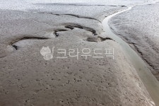 갯벌, 갯골, 수로, mud, mudflat, 사진,이미지,일러스트,캘리그라피 - 장구작가 크라우드픽 - 저작권 걱정 없는 상업용 이미지