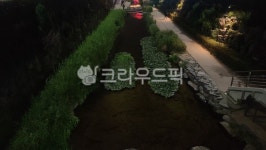 도랑, ditch, 야간, 냇가, 풀숲, 사진,이미지,일러스트,캘리그라피 - Ncch100작가 크라우드픽 - 저작권 걱정 없는 상업용 이미지