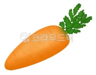 carrot, 당근, food, 음식, vegetable, 사진,이미지,일러스트,캘리그라피 - Cureeray작가 크라우드픽 - 저작권 걱정 없는 상업용 이미지