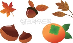 가을, 단풍, 낙엽, 밤, 열매, 사진,이미지,일러스트,캘리그라피 - myamya작가 크라우드픽 - 저작권 걱정 없는 상업용 이미지