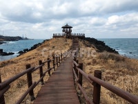 해안길, 닭머르해안길, 산책길, 다리, 제주도, 사진,이미지,일러스트,캘리그라피 - 블루버드홍작가 크라우드픽 - 저작권 걱정 없는 상업용 이미지