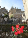 몽생미셀, montsaintmichel, 장미, 꽃, 장미꽃, 사진,이미지,일러스트,캘리그라피 - cheomadol작가 크라우드픽 - 저작권 걱정 없는 상업용... 