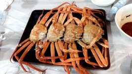 대게, 게, 갑각류, 음식, 해산물, 사진,이미지,일러스트,캘리그라피 - 25억녀작가 크라우드픽 - 저작권 걱정 없는 상업용 이미지