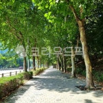 path, park, 공원, 길, sidewalk, 사진,이미지,일러스트,캘리그라피 - south83작가 크라우드픽 - 저작권 걱정 없는 상업용 이미지