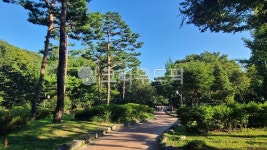 park, 공원, outdoors, 옥외, nature, 사진,이미지,일러스트,캘리그라피 - 천재만재작가 크라우드픽 - 저작권 걱정 없는 상업용 이미지