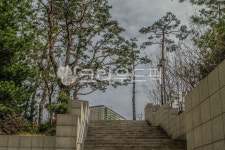 고대, 고려대, 고려대학교, 서울, 안암동, 사진,이미지,일러스트,캘리그라피 - imlover작가 크라우드픽 - 저작권 걱정 없는 상업용 이미지