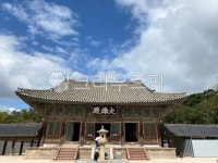 건축물, 건물, 불국사, 나무, 경주, 사진,이미지,일러스트,캘리그라피 - Ntjdgusqkr1작가 크라우드픽 - 저작권 걱정 없는 상업용 이미지