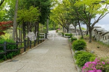 와룡공원, 와룡공원길, 성북동, 한양도성, 서울성곽, 사진,이미지,일러스트,캘리그라피 - imlover작가 크라우드픽 - 저작권 걱정 없는 상업용... 