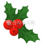 솔베리부쉬, 레드베리, 크리스마스열매, 빨간열매, 크리스마스, 사진,이미지,일러스트,캘리그라피 - YJL작가 크라우드픽 - 저작권 걱정 없는... 