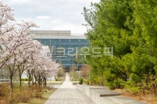 고대, 고려대, 고려대학교, 서울, 안암동, 사진,이미지,일러스트,캘리그라피 - imlover작가 크라우드픽 - 저작권 걱정 없는 상업용 이미지