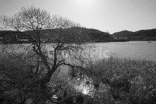 백운호수, 호수, 인공호수, 의왕시, 탐방로, 사진,이미지,일러스트,캘리그라피 - Deep bLUE작가 크라우드픽 - 저작권 걱정 없는 상업용 이미지