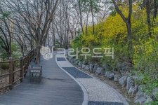 숭인근린공원, 산책, 산책로, 서울, 종로구, 사진,이미지,일러스트,캘리그라피 - imlover작가 크라우드픽 - 저작권 걱정 없는 상업용 이미지