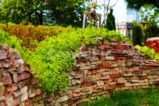 풀, 담, 담벼락, 잔디, 수목원, 사진,이미지,일러스트,캘리그라피 - 한가한 개미작가 크라우드픽 - 저작권 걱정 없는 상업용 이미지