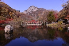 장성, 백양사, 백양사추색, 백양사가을, 반영, 사진,이미지,일러스트,캘리그라피 - 영산공작가 크라우드픽 - 저작권 걱정 없는 상업용 이미지
