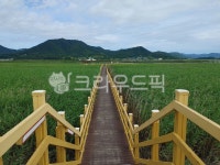 전라남도강진, 강진, 강진만생태공원, 생태공원, 습지, 사진,이미지,일러스트,캘리그라피 - pswtravel작가 크라우드픽 - 저작권 걱정 없는... 