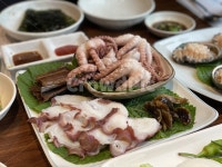 모듬해산물, 문어숙회, 과메기, 소라, 해산물, 사진,이미지,일러스트,캘리그라피 - 비홍이작가 크라우드픽 - 저작권 걱정 없는 상업용 이미지