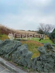 자연, nature, 가을, autumn, 갈대, 사진,이미지,일러스트,캘리그라피 - 쿨라임민트작가 크라우드픽 - 저작권 걱정 없는 상업용 이미지