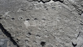 새발자국화석, 고성덕명리공룡과새발자국화석산지, 천연기념물제411호, 경남, 고성, 사진,이미지,일러스트,캘리그라피 - 행복신작가 크라우드픽... 