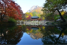 장성백양사, 북하면백양사, 백양사가을, 백양사, 백양사연못, 사진,이미지,일러스트,캘리그라피 - 영산공작가 크라우드픽 - 저작권 걱정 없는... 