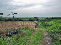 제주, 올레19코스, 올레길, 조천농로, 돌담, 사진,이미지,일러스트,캘리그라피 - Deep bLUE작가 크라우드픽 - 저작권 걱정 없는 상업용 이미지