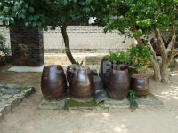 항아리, 여름, 민속촌, 장독대, 한국, 사진,이미지,일러스트,캘리그라피 - 똘프작가 크라우드픽 - 저작권 걱정 없는 상업용 이미지