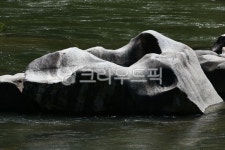 outdoors, 옥외, nature, 자연, 순창장군목유원지, 사진,이미지,일러스트,캘리그라피 - 영산공작가 크라우드픽 - 저작권 걱정 없는 상업용... 