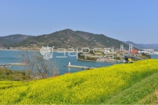 grassland, field, 들, farm, 농장, 사진,이미지,일러스트,캘리그라피 - 영산공작가 크라우드픽 - 저작권 걱정 없는 상업용 이미지