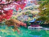 전북, 내장산, 정읍, 우화정, 붉게물든, 사진,이미지,일러스트,캘리그라피 - 엑소더스작가 크라우드픽 - 저작권 걱정 없는 상업용 이미지