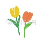 꽃, 튤립, 꽃일러스트, 유치원, 일러스트, 사진,이미지,일러스트,캘리그라피 - 25mmmg작가 크라우드픽 - 저작권 걱정 없는 상업용 이미지