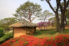 nature, 자연, 경기, 안성, 서일농원, 사진,이미지,일러스트,캘리그라피 - 영산공작가 크라우드픽 - 저작권 걱정 없는 상업용 이미지